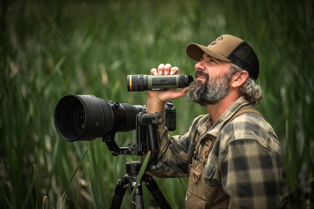 Birds of North Texas: Habitat, Migration, Feeding, and How to Welcome Them Home